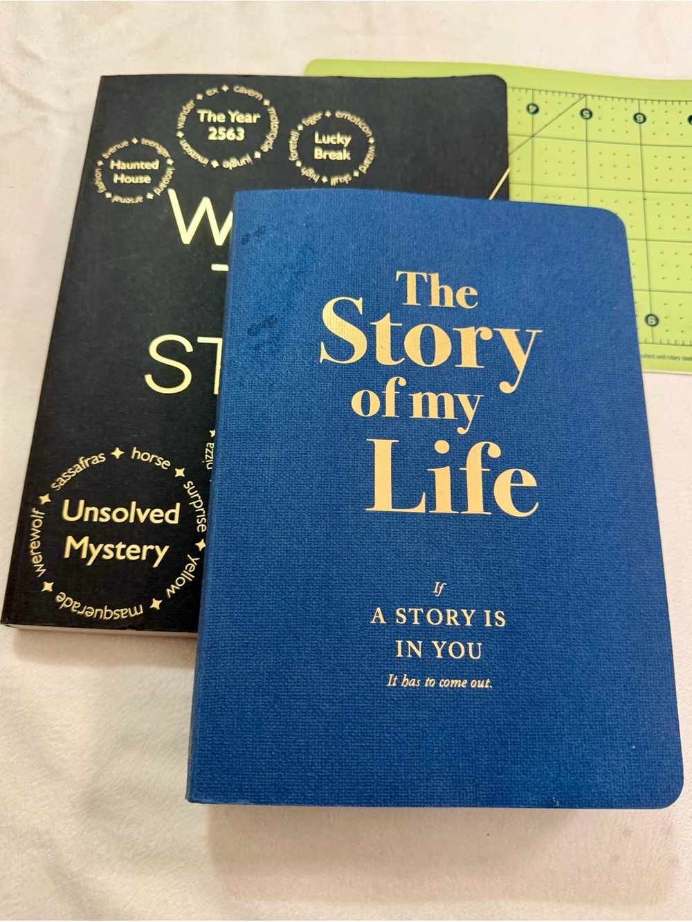 Set of 2 Prompted and Guided Journals